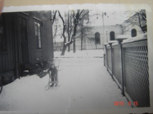 DSC00520